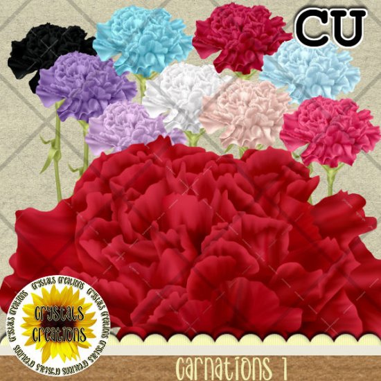 Carnations CU Elements - Click Image to Close