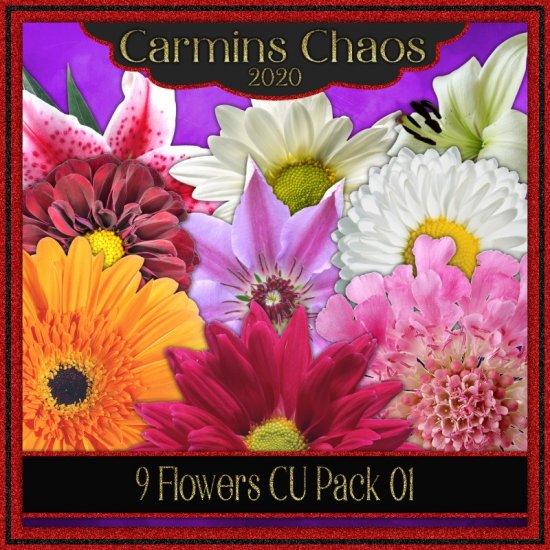 CCC_Floral Pack 01 - Click Image to Close