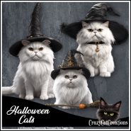 CCC_Halloween Cats CU