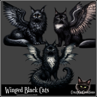 CCC_Winged Black Cats CU