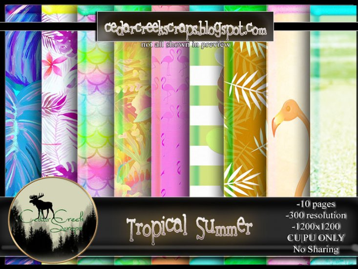 CCS-Tropical Summer Paper Pack - Click Image to Close