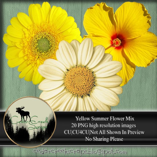 CCS-Yellow Flowers PNG Pack - Click Image to Close