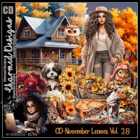 CD-November Leaves Vol.28