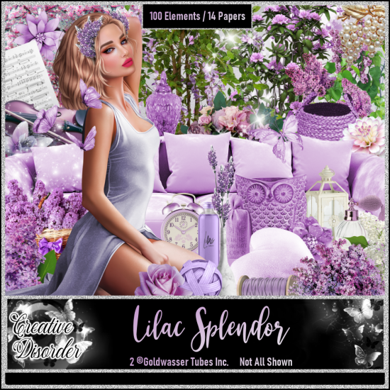 Lilac Splendor - Click Image to Close