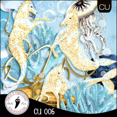 CU 006