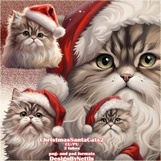 ChristmasSantaCats2 - Click Image to Close