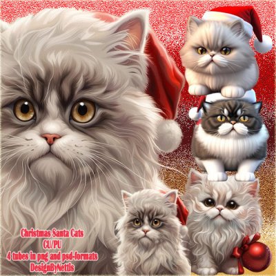 ChristmasSantaCats