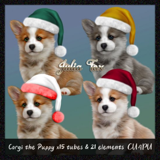 Corgi the Puppy - Click Image to Close