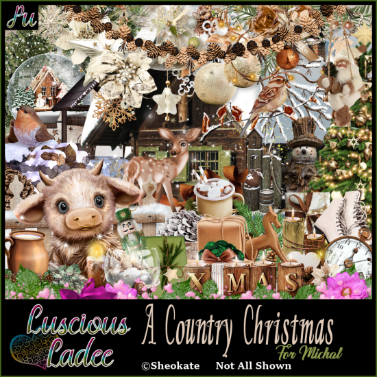 A Country Christmas For Michal - Click Image to Close