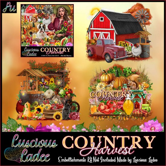 Country Harvest Embellishments - Click Image to Close