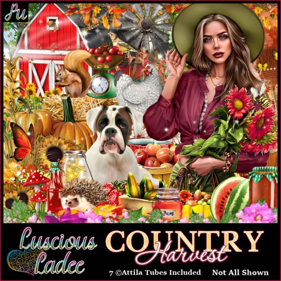 Country Harvest - Click Image to Close