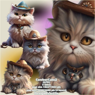 CowboyCats2