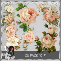 CU PACK 1017