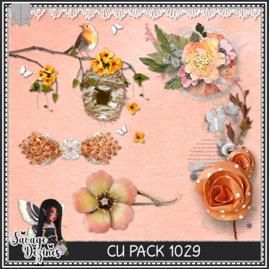 CU PACK 1029 - Click Image to Close