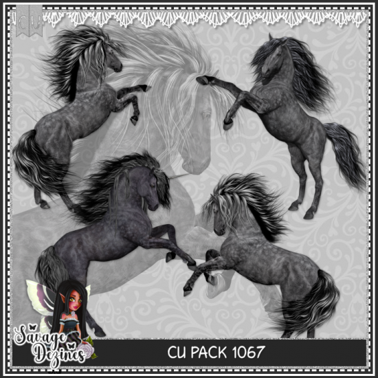 CU PACK 1067 - Click Image to Close