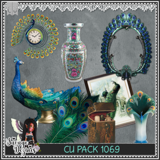 CU PACK 1069 - Click Image to Close