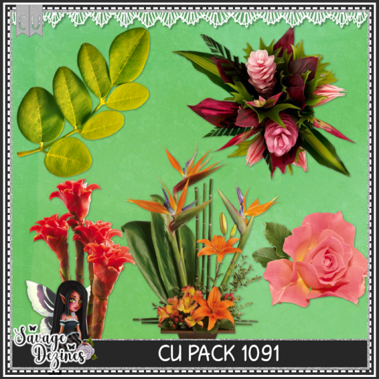 CU PACK 1091 - Click Image to Close