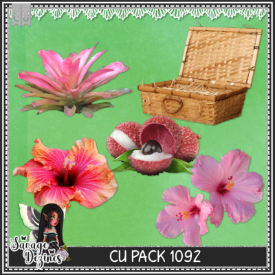 CU PACK 1092