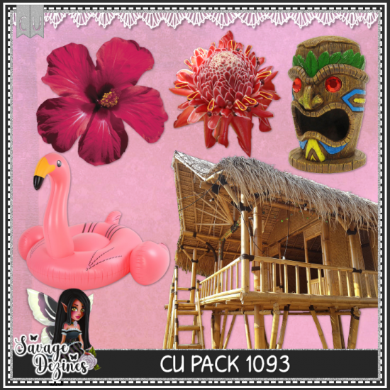 CU PACK 1093 - Click Image to Close