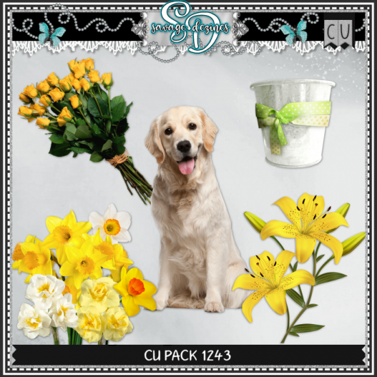 CU PACK 1243 - Click Image to Close