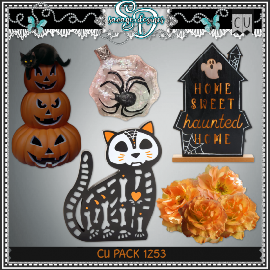 CU PACK 1253 - Click Image to Close