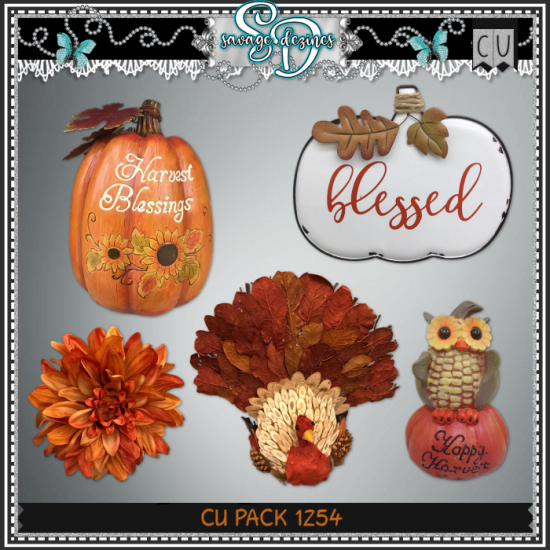 CU PACK 1254 - Click Image to Close