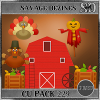 CU PACK 229