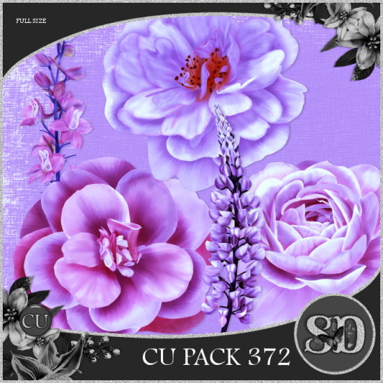 CU PACK 372 - Click Image to Close