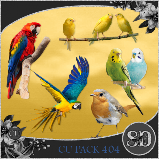 CU PACK 404 - Click Image to Close