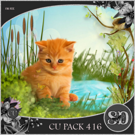 CU PACK 416 - Click Image to Close