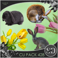 CU PACK 428