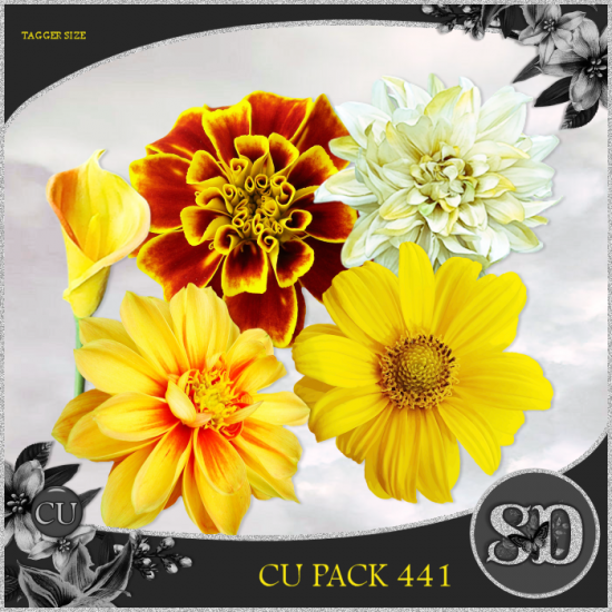 CU PACK 441 - Click Image to Close