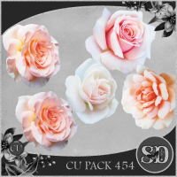 CU PACK 454