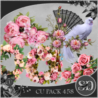 CU PACK 458