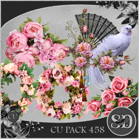 CU PACK 458 - Click Image to Close