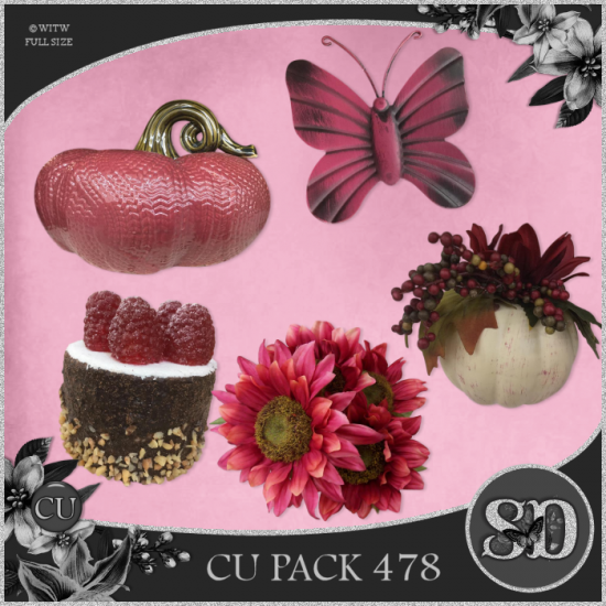 CU PACK 478 - Click Image to Close