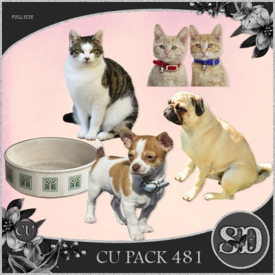 CU PACK 481