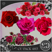 CU PACK 485