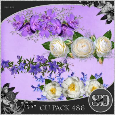 CU PACK 486