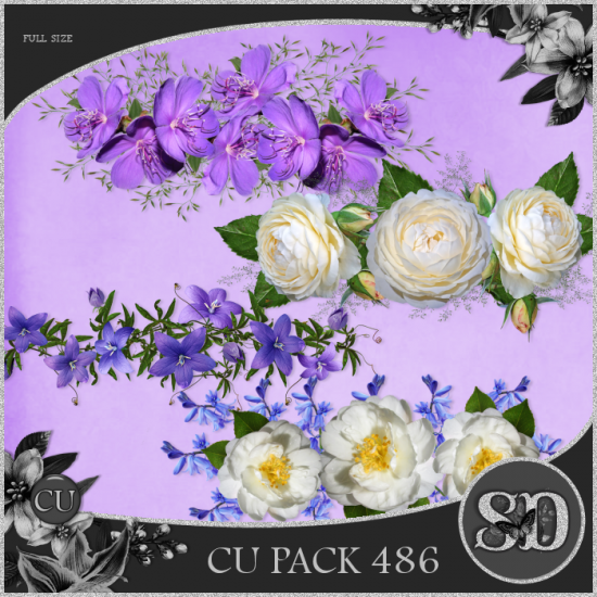 CU PACK 486 - Click Image to Close