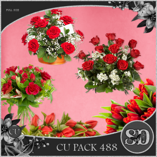 CU PACK 488 - Click Image to Close