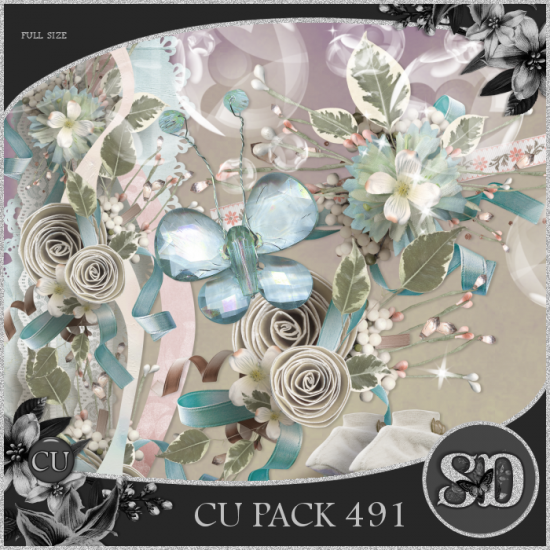 CU PACK 491 - Click Image to Close