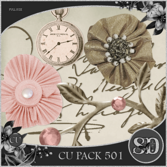 CU PACK 501 - Click Image to Close