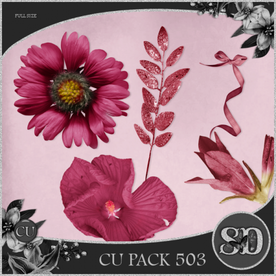 CU PACK 503 - Click Image to Close