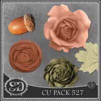 CU PACK 527