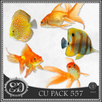 CU PACK 557