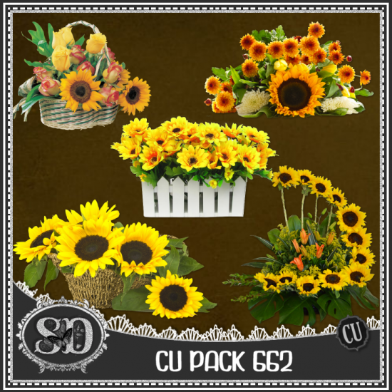 CU PACK 662 - Click Image to Close