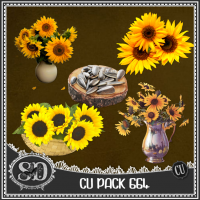 CU PACK 664