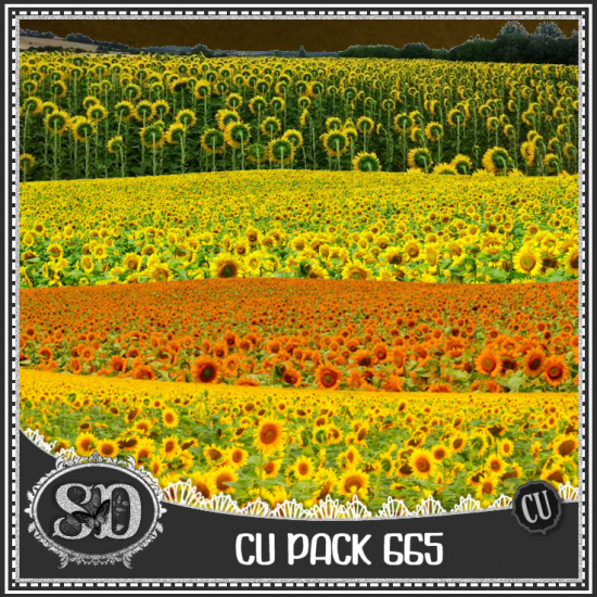 CU PACK 665 - Click Image to Close