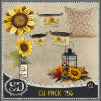 CU PACK 756